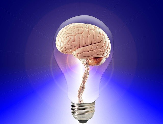 The brain in a lightbulb wisdom and ideas as one 